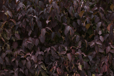 Similar image 13150764