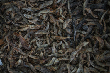 Similar image 13150765