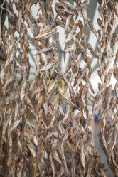 Similar image 13150768