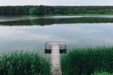 Similar image 13151741