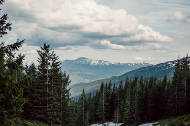 Similar image 13151743