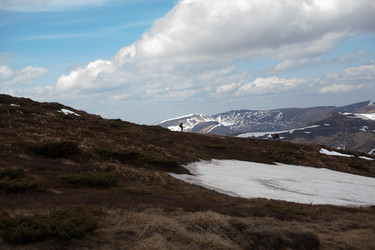 Similar image 13151745