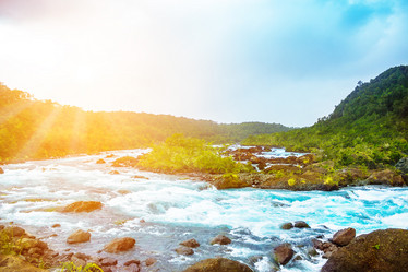 Similar image 13152856