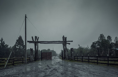 Similar image 13152876