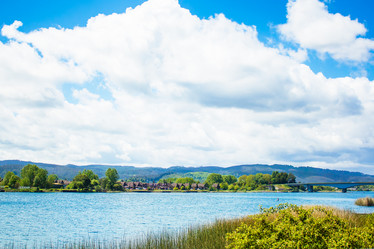 Similar image 13153012