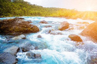 Similar image 13153030