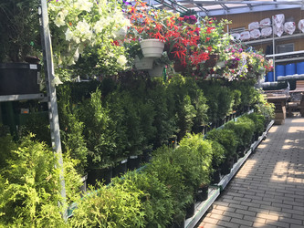 Similar image 13151345