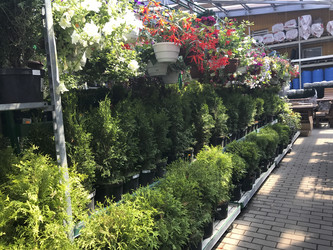 Similar image 13151346