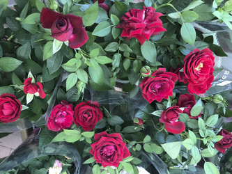 Similar image 13151404