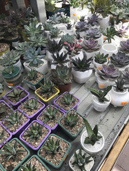 Similar image 13151406