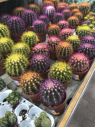 Similar image 13151426