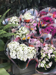 Similar image 13151444