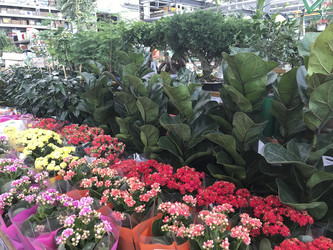 Similar image 13151462