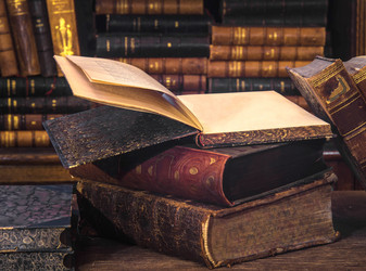 Similar image 13152328