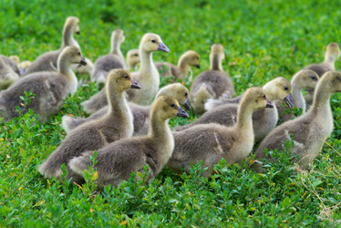 Similar image 13162082