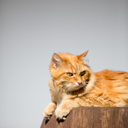 Similar image 13150621