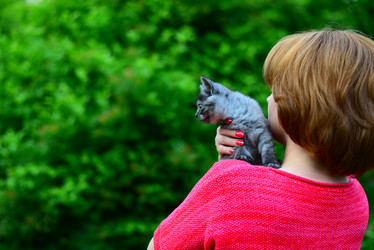 Similar image 13162126