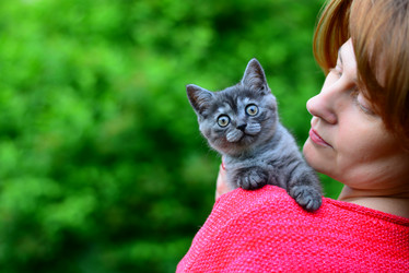 Similar image 13162134