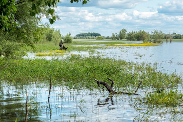 Similar image 13154102