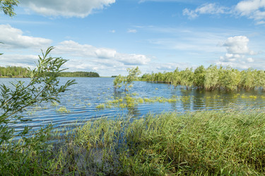 Similar image 13154103