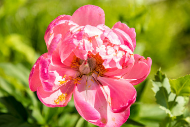 Similar image 13154122