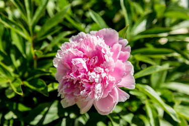 Similar image 13154123