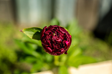 Similar image 13154143