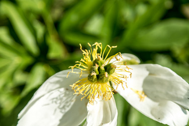 Similar image 13154163