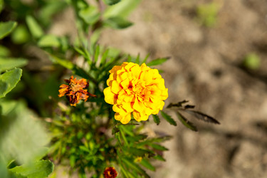 Similar image 13154177