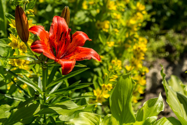 Similar image 13154253