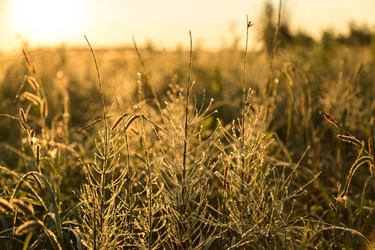 Similar image 13154286