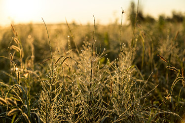 Similar image 13154287