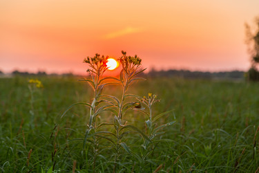 Similar image 13154289