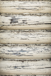 Similar image 13153171