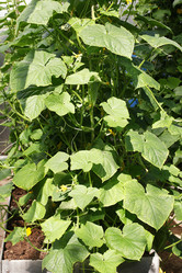 Similar image 13153172