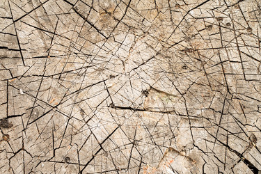 Similar image 13153192