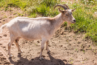 Similar image 13153221