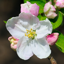 Similar image 13155189