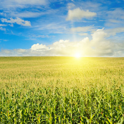 Similar image 13155191