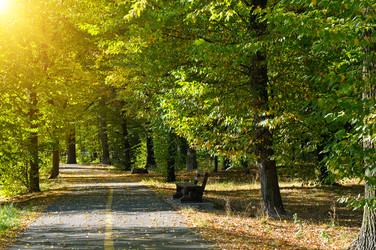 Similar image 13155192