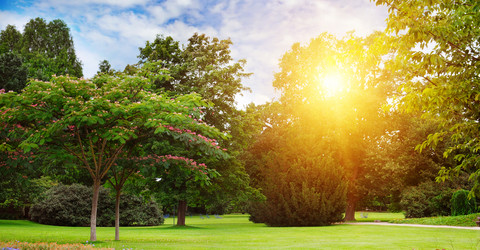 Similar image 13155202