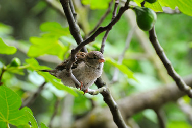 Similar image 13155204