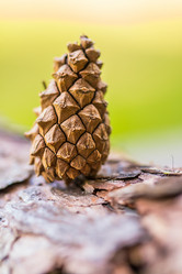 Similar image 13153236