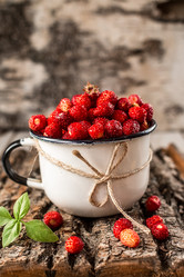 Similar image 13153281