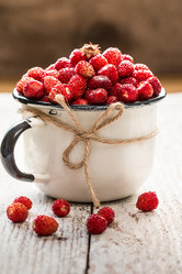 Similar image 13153526