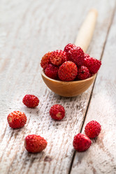 Similar image 13153527