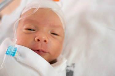 Similar image 13152335