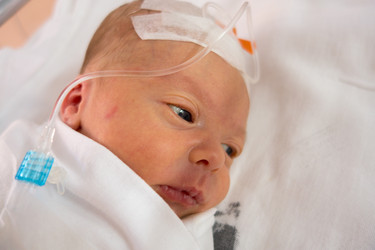 Similar image 13152337