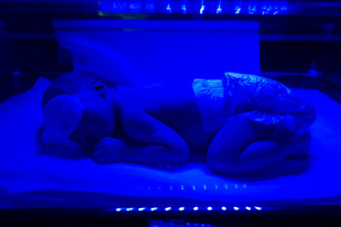 Similar image 13152301