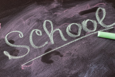 Similar image 13153977